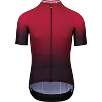 Sigma Sports <b>Assos Mille</b> GT Summer c2 Shifter S/Sleeve Jersey | Extra 10% off Sale Items with <b>CYCLINGBARGAINSEXTRA10</b>, Sigma+ Rewards, Price match, + 10% off Signup (FREE Delivery over £50)