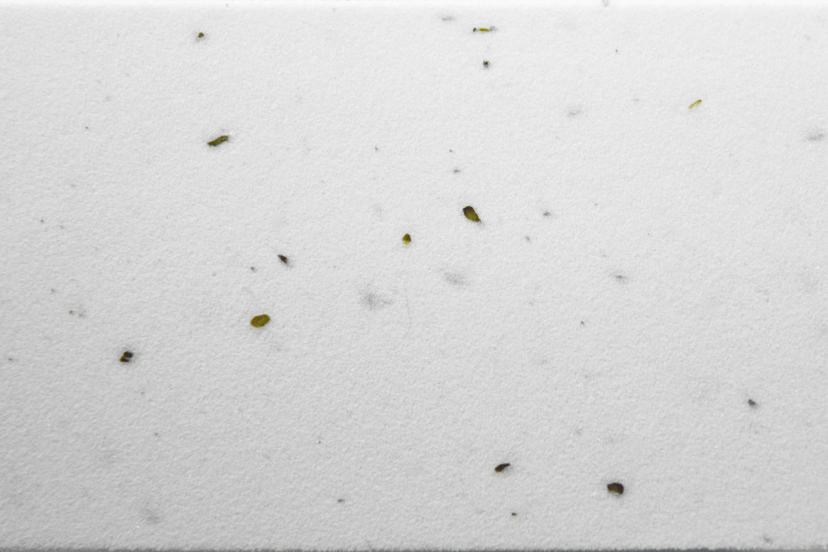 The Electric Bike Shop Cube Bar Tape Cork in Black, Blue, Green Or White White